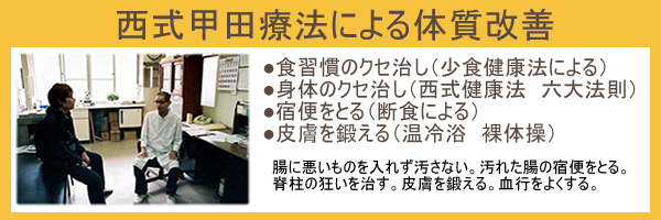 西式甲田療法